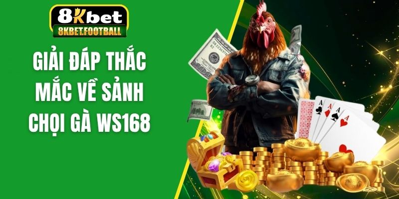 Giải đáp thắc mắc về sảnh chọi gà ws168