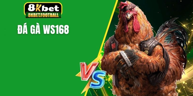 Đá gà ws168